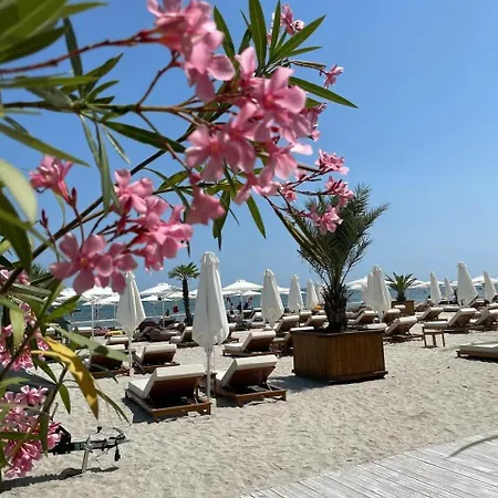 Solmar Daire *